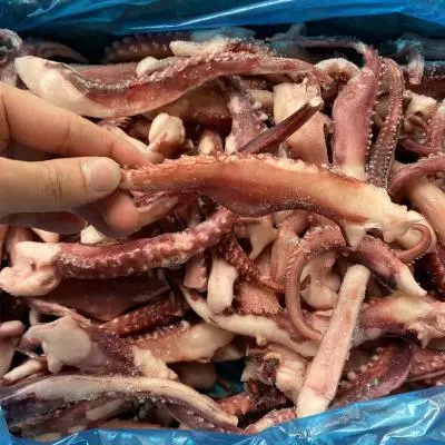 烟台鲜冻章鱼足